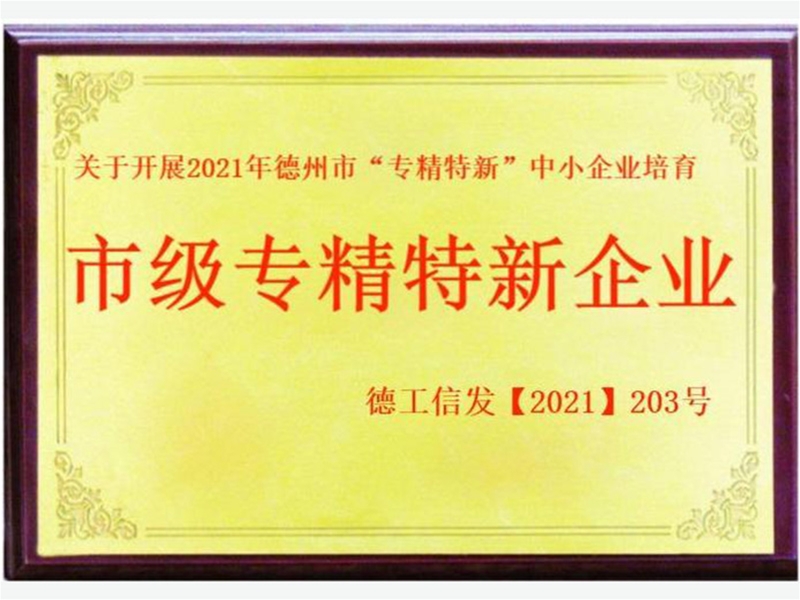 市級專精特新企業