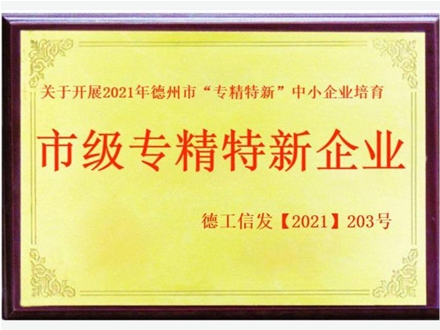 市級專精特新企業